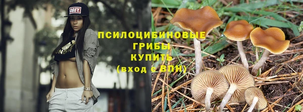 a pvp Арсеньев