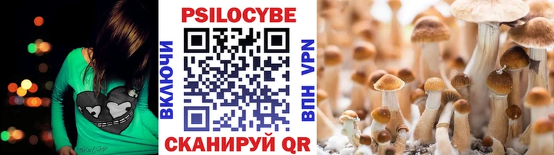 Галлюциногенные грибы Psilocybine cubensis купить наркоту OMG сайт Темников
